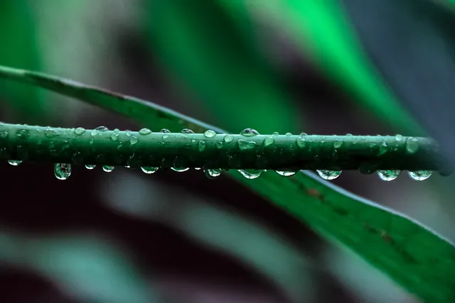 5 Healthy Benefits of Walking in the Rain