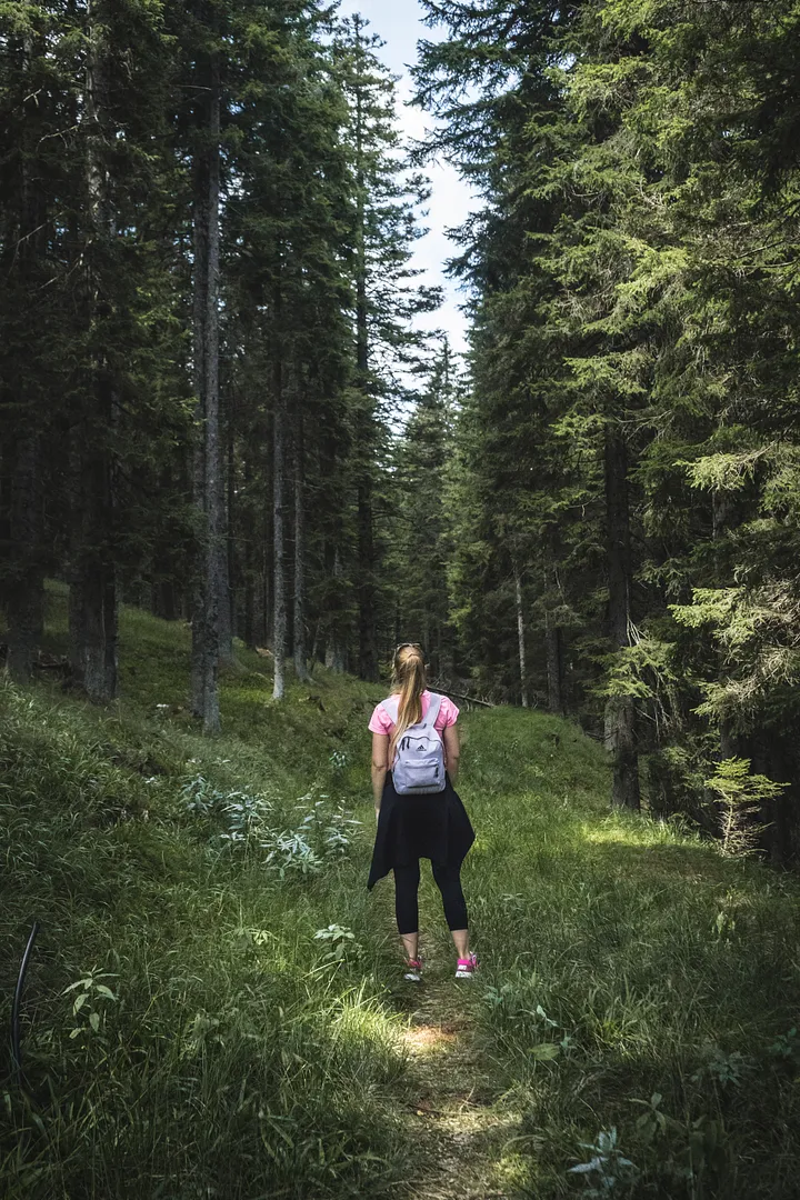 How Long Walks Will Transform Your Life